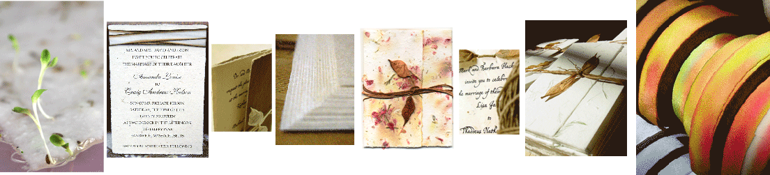 Wedding Invitation collection main image