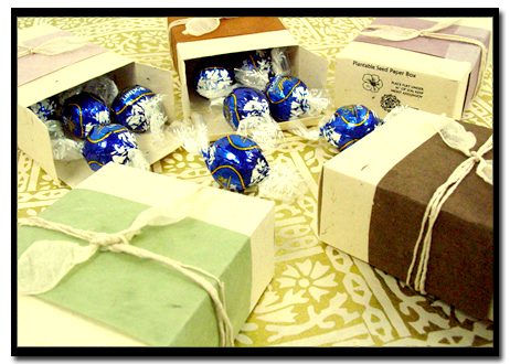 Seeded Gift Boxes