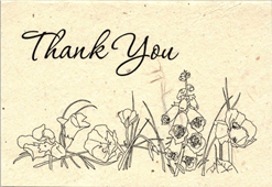 Seeded Thank You Cards