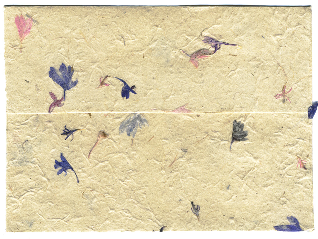 Bachelor Button A6 Envelope