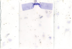 larkspur wildflower seed paper