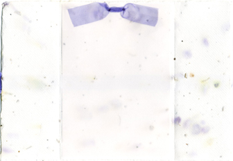 handmade larkspur and seed paper
