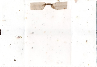 handmade seed paper