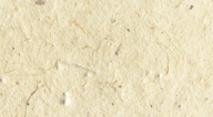 seed paper