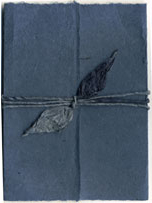 6x9 Bifold Seed Paper Wrap with Spruce eco twist ribbon