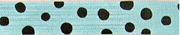 Click to order Aqua/Black