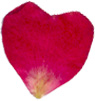 Heart pressed flower