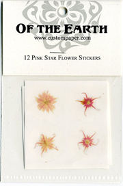 Pink Star Flower