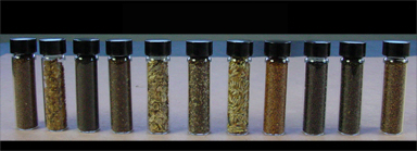 These are some of the seeds that we have embedded in our paper, there are 15 total species.