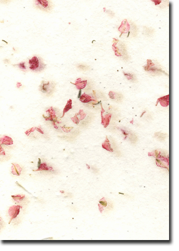 Seed Paper Handmade for Wedding Invitations - Wildflower Seeded