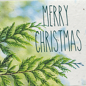 seed paper holiday cards