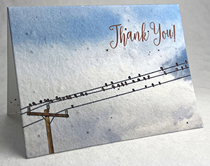 birds on a wire thank you