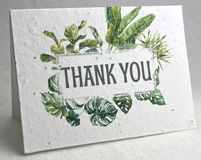 houseplants  watercolor Thank You