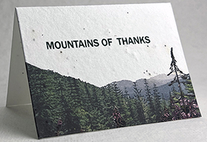 mountains of thanks thank you