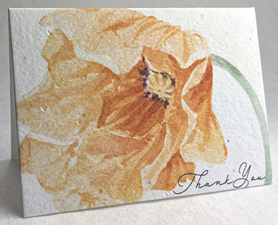 orange poppy watercolor Thank You