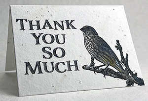 perched bird thank you