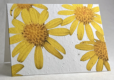 Yellow Daisy watercolor