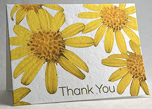 yellow daisies thank you