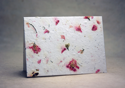 Cut edge petal paper cards