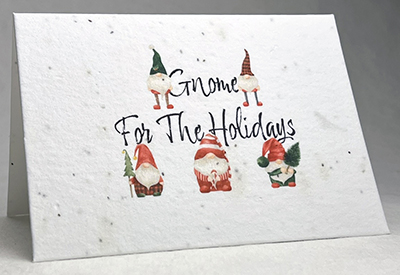 gnome for the holdiays christmas card