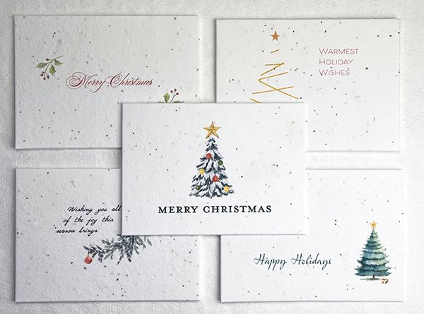 christmas card mixed set of 10 cards