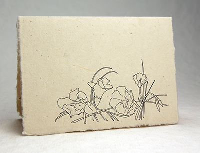 Lotka Seeded Thank You Cards - All flowers Design