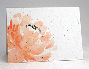 peach peony watercolor card