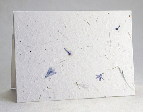 cotton paper with real flowers and seeds