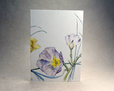 seeded handmade paper blank card