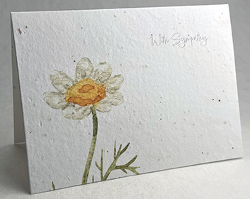 A7 folding sympathy seed paper card with daisy print
