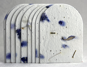 arch shape seed paper tags