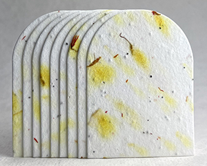 arch shape seed paper tags