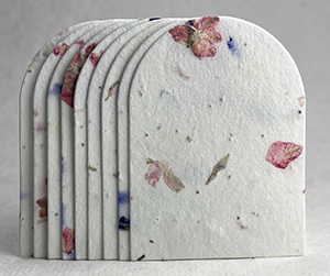 arch shape seed paper tags