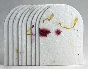 arch shape seed paper tags