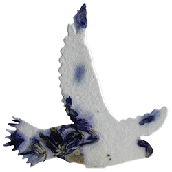 bird shape