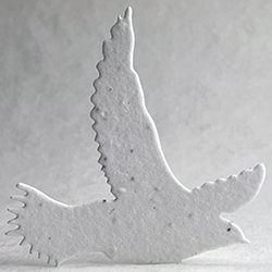 Click for petal paper seed paper birds