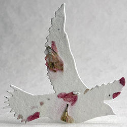 Click for petal paper seed paper birds