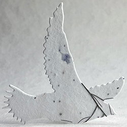 Click for petal paper seed paper birds