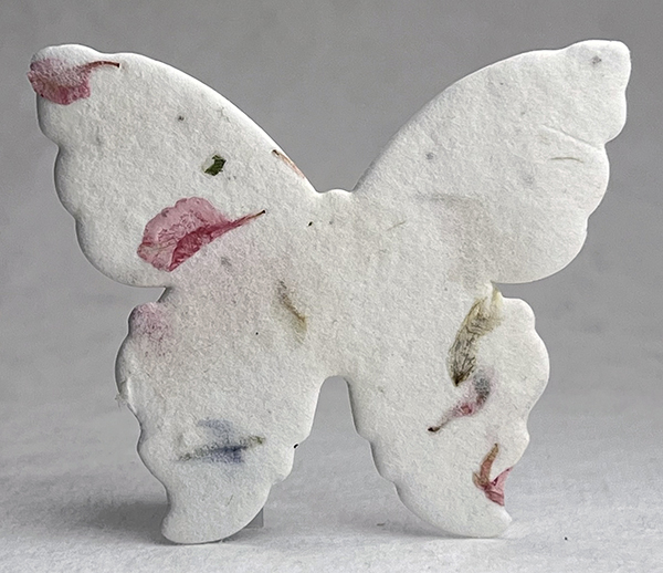 #17s butterfly seed paper