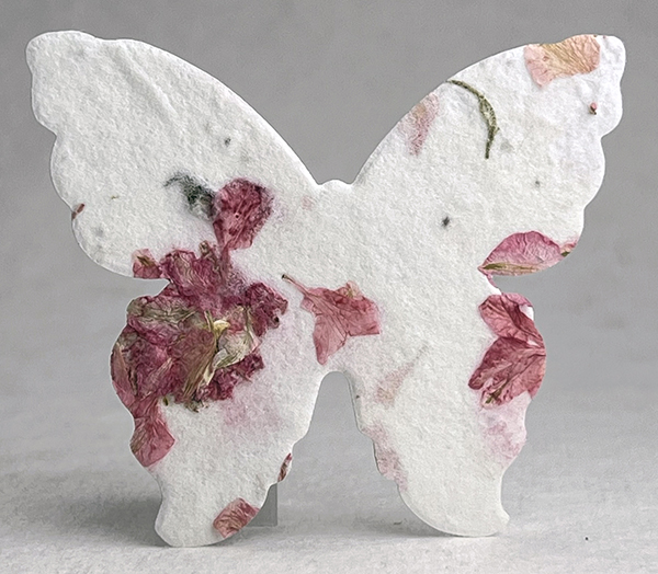 #24s butterfly seed paper