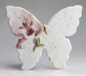 #37s butterfly seed paper