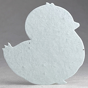 Click for 21s light blue seed paper chick shape