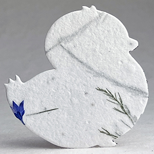Click for 30s bachelor button seed paper chick shape
