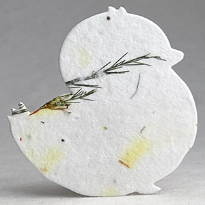 Click for 43s safflower fern seed paper chick shape