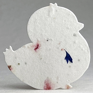 Click for 48s pink and blue seed paper chick shape