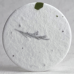 36s_tree_fern_and_chard_seed_paper_circle