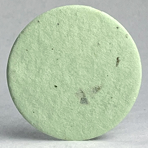 46s_chard_in_light_green_lotka_seed_paper_circles