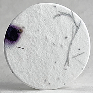 58s_purple_stock_and_tree_fern_seed_paper_circle
