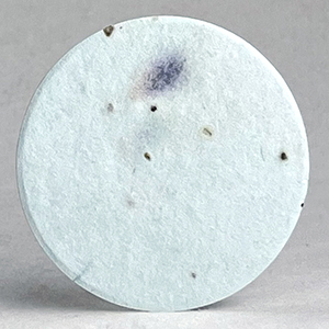 67s_lilac_petals_in_light_blue_lotka_seed_paper_circles