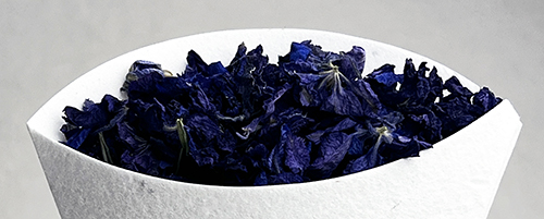 Blue Larkspur